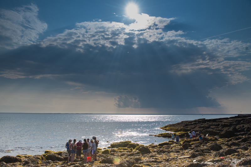 students by rocky shoreline