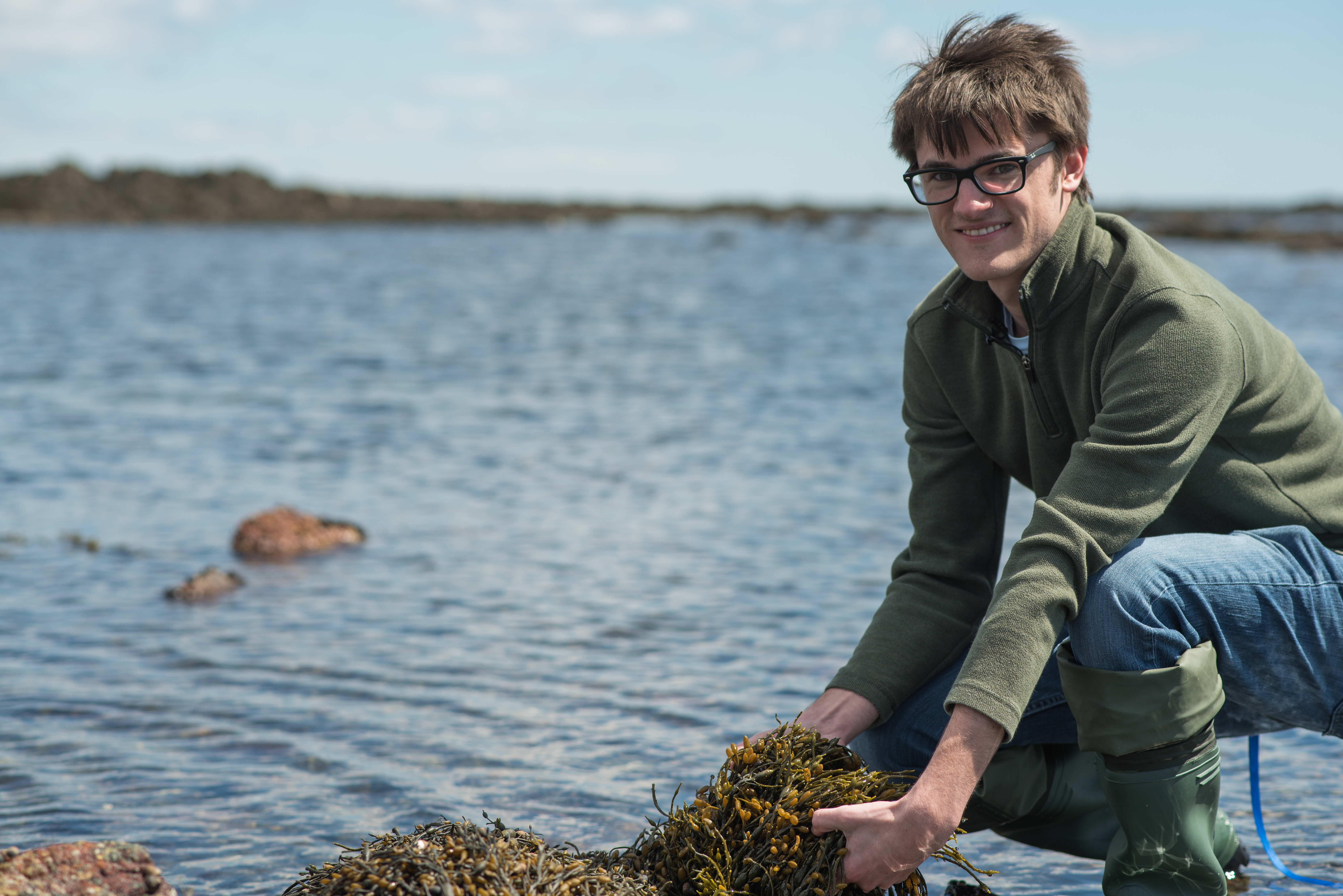Young man with short dark hair and black glasses crouches down by rocky ocean shoreline with handful of olive grey seaweed.