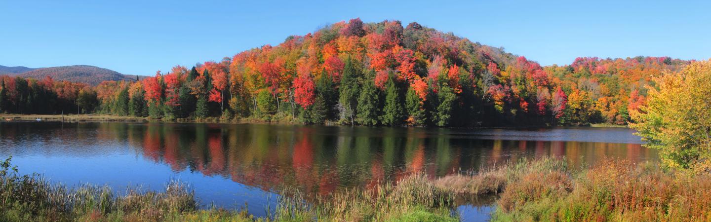 fall foliage at Campton, NH