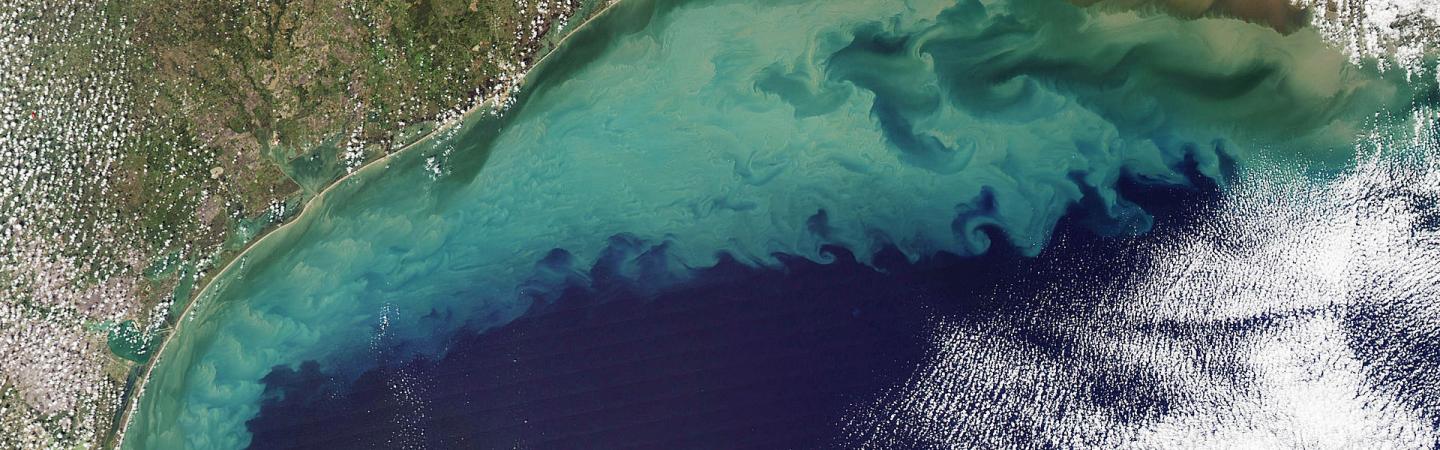 A satellite view of sediment entering the Gulf of Mexico.