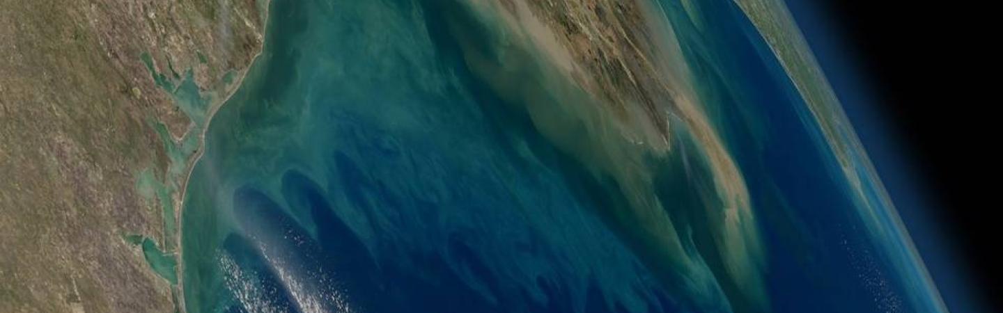 Gulf of Mexico