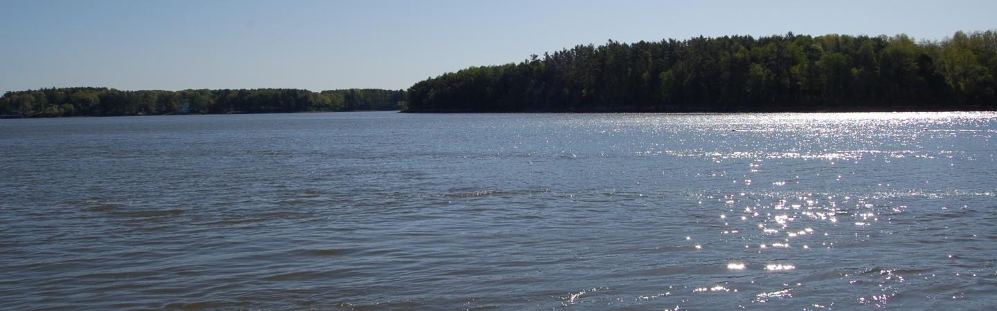 A bright sunny day with sparkling bay water and green coniferous trees on shoreline.
