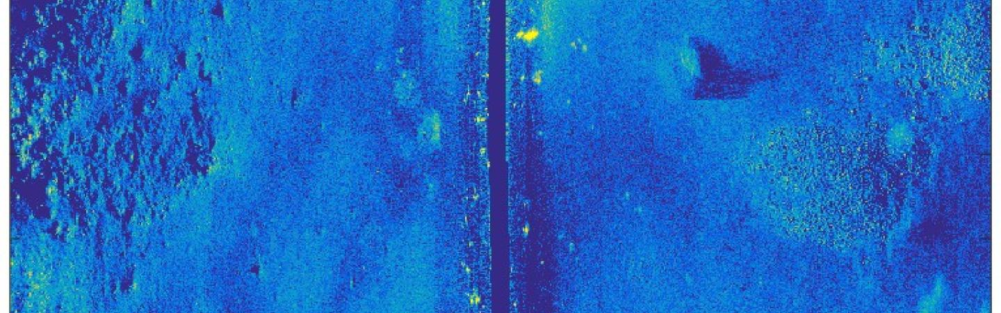 Blue sonar image of seafloor. 