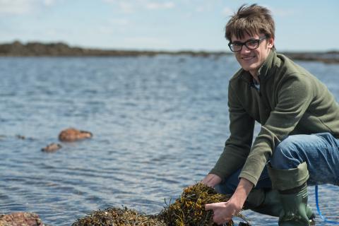 Young man with short dark hair and black glasses crouches down by rocky ocean shoreline with handful of olive grey seaweed. 