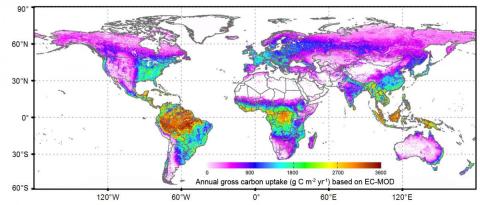 A global map of carbon uptake