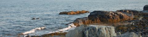 Rocky shoreline with waves