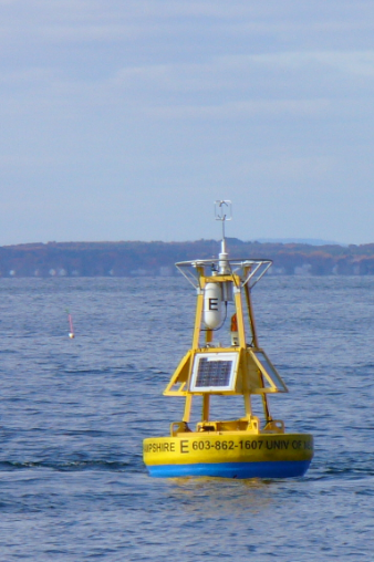 Yellow buoy floating in the ocean. 