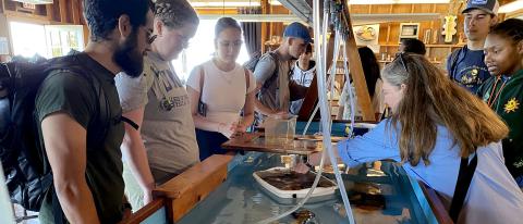 Photo of instructor showing students items in a table of water. 