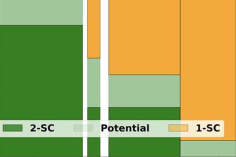 Green and yellow chart graph. 