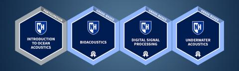 All four CARE digital badges in a row with gradient background.
