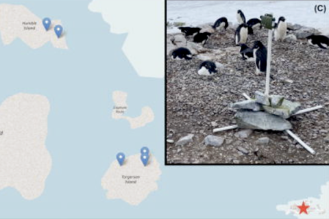 Map of Antarctica depicts the red point indicating the study area based at Palmer Station in the West Antarctic Peninsula.