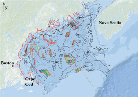 geophysical surveys in the Gulf of Maine