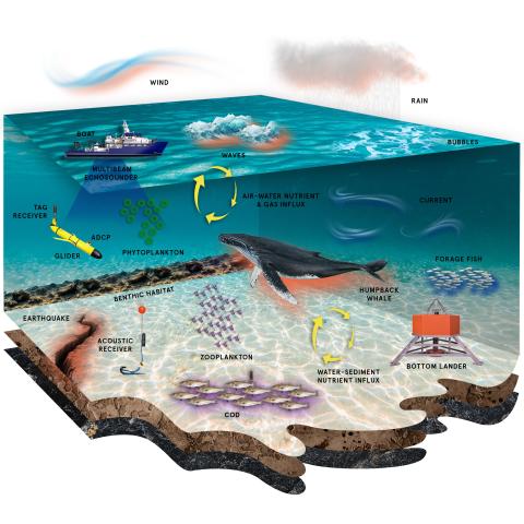 sound contributions to the marine soundscape, image credit: NERACOOS
