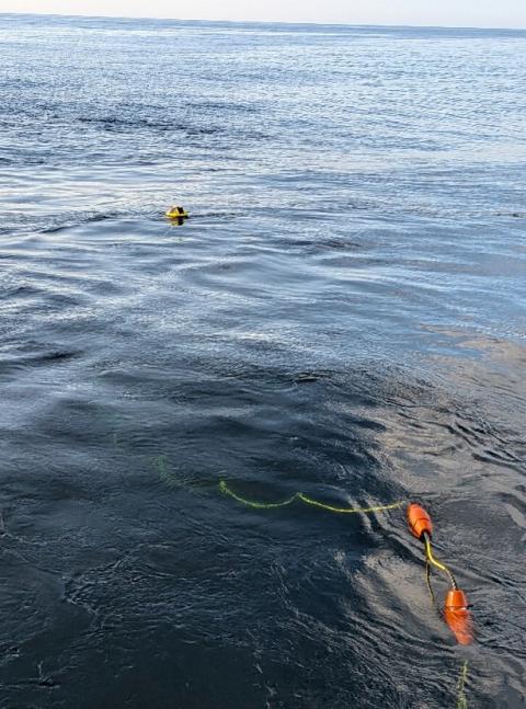 yellow and orange objects against dark water