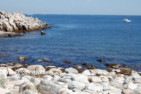 A calm ocean cove on a rocky shoreline with a white boat in the background. 