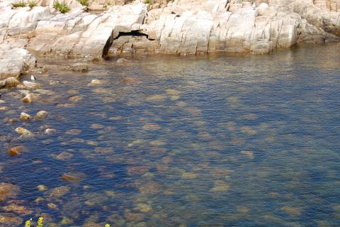 A shallow harbor of ocean water on a rocky island with rocks on the bottom. 