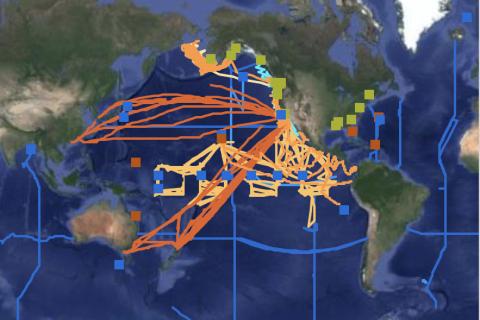 pacific ocean ship traffic