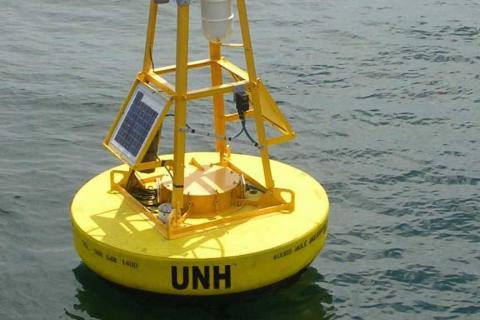 a yellow buoy 