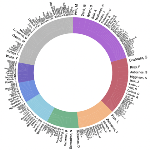 Color circular graph of author network.