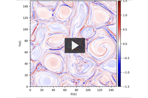 Homogenous Plasma Turbulence